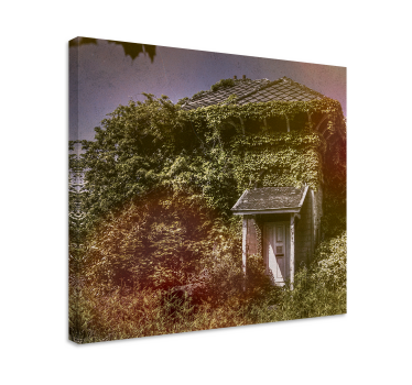 Leinwandbild Pflanze Cottagecore naturhaus - TenStickers