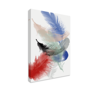 Wandbild federn bunte federanzeige - TenStickers
