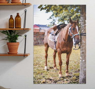 Pferde Leinwand Pferd unter einem baum - TenStickers