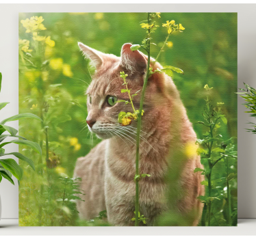 Wandbilder katzen neugierige katze beim spaziergang - TenStickers