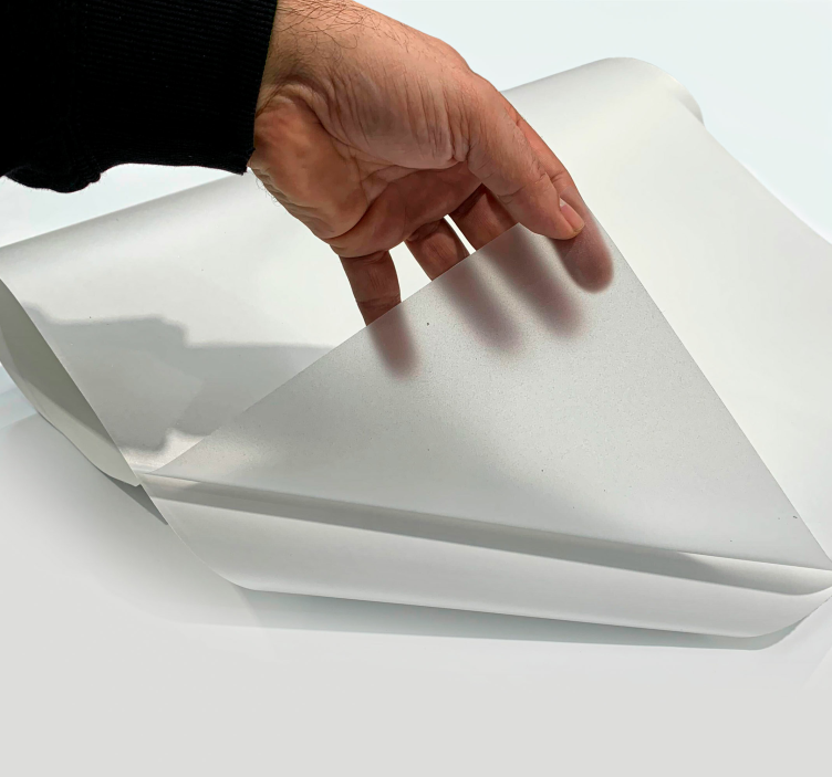 Fensteraufkleber transluzent - TenStickers