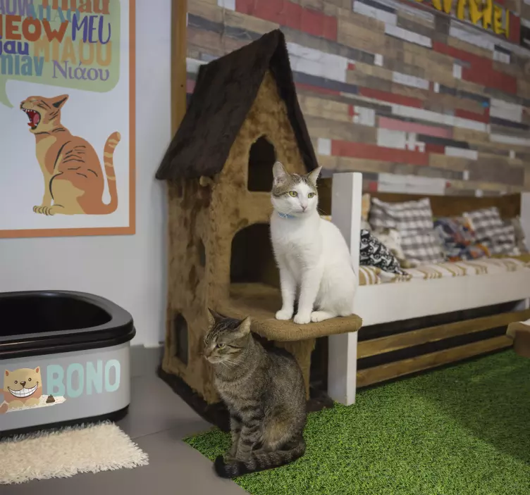 Aufkleber katzenstreu-Kasten-Name - TenStickers