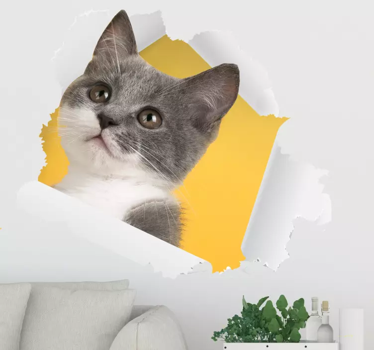 Aufkleber-wandaufkleber der katze 3d - TenStickers