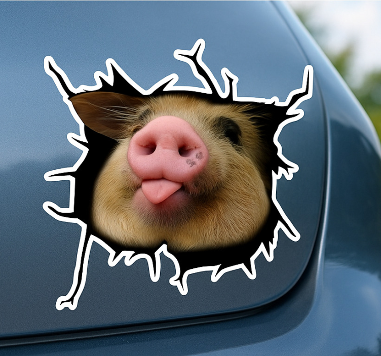 Autoaufkleber lustiges schwein 3d-crack - TenStickers