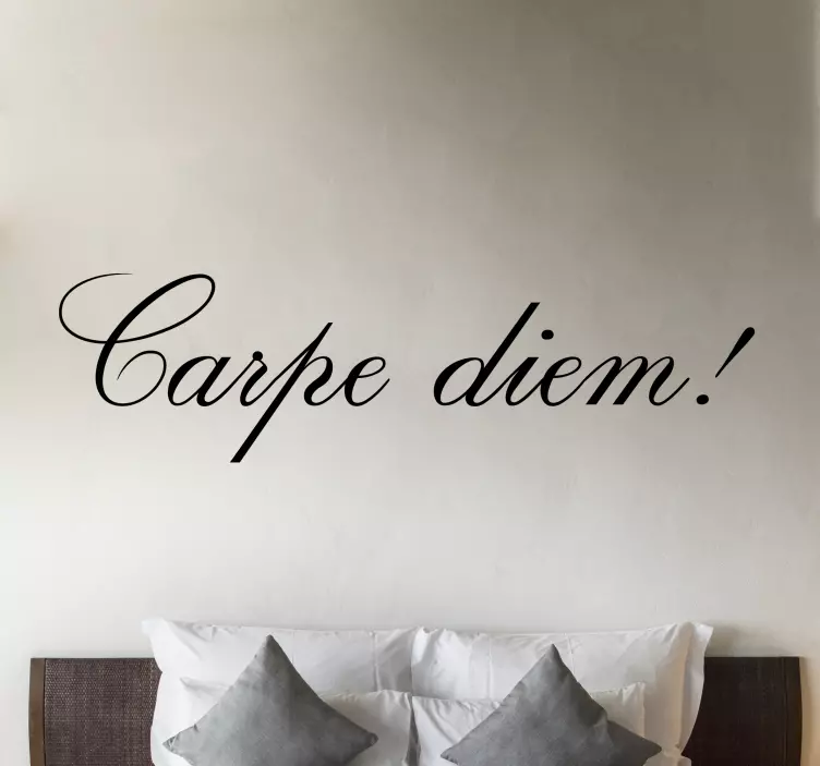 Wandtattoo Motivationsspruch Carpe diem zarter dünner schriftzug - TenStickers