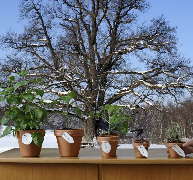 Wandtattoo Winterlandschaft - TenStickers