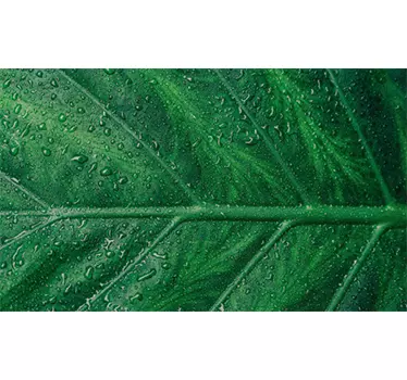 Aufkleber für Tisch mit Blatt - TenStickers