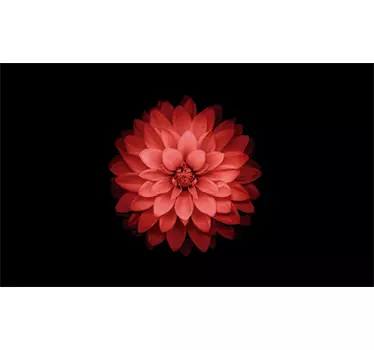 Aufkleber Ikea Tisch Rote Blume - TenStickers