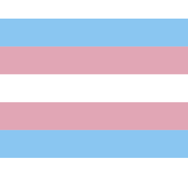 Autoaufkleber trans-flagge - TenStickers