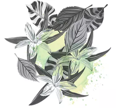 Wandtattoo Pflanzen Schwarz Weiß - TenStickers