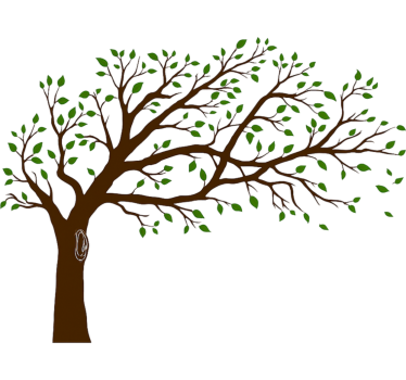 Wandtattoo Wohnzimmer bunter baum der wahrheit - TenStickers