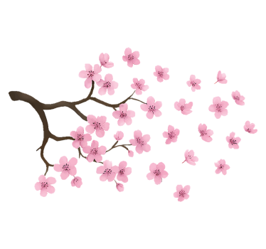 Autoaufkleber pinke kirschblüten dekor - TenStickers