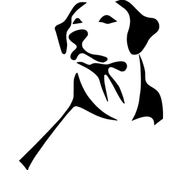 Sticker Labrador - TenStickers