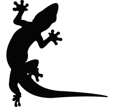 Aufkleber Auto Gecko - TenStickers