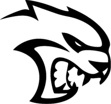 Autoaufkleber im puma design - TenStickers