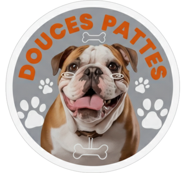 Autoaufkleber douces pattes english bulldog - TenStickers