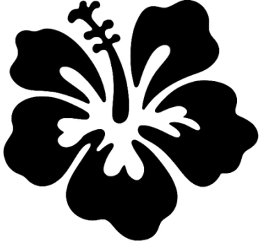 Autoaufkleber exotische inselblüte - TenStickers