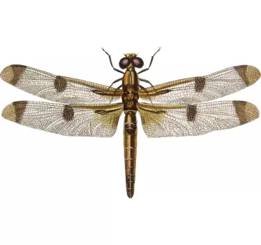 Realistisches Libellen Insekten Wandtattoo - TenStickers