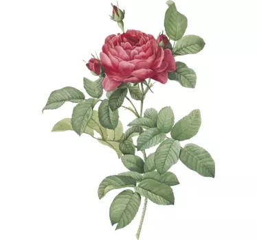 Rote Rose Wandtattoo Wohnzimmer - TenStickers