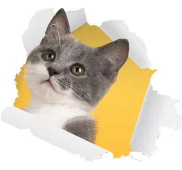 Aufkleber-wanddekor der katze 3d - TenStickers