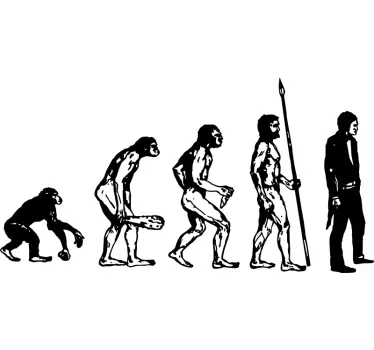 Menschliche Evolution Aufkleber - TenStickers