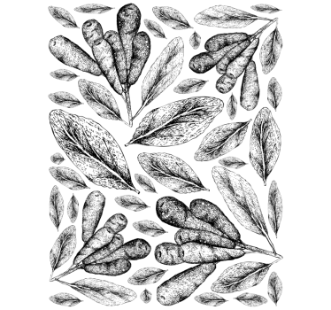 Polnische pflanzen Wandtattoo Fenster - TenStickers