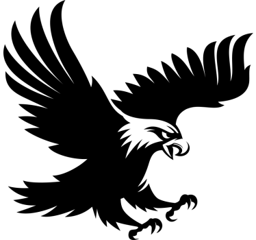 Adler Auto Aufkleber - TenStickers