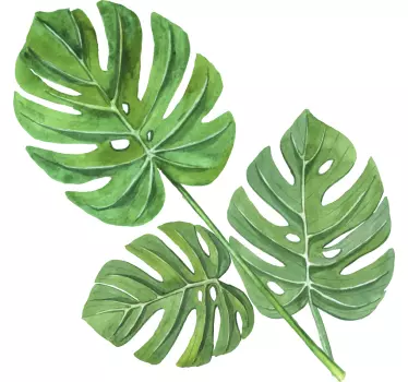 Wandtattoo Ranke Pflanze Monstera Aquarell Blätter - TenStickers
