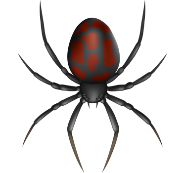 Aufkleber Auto 3D realistische Spinne - TenStickers