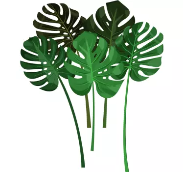 Wandtattoo Pflanzen tropisches blattarrangement - TenStickers
