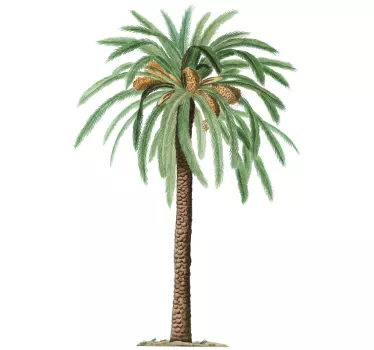 Wandtattoo pflanzen palmenbaum illustration - TenStickers