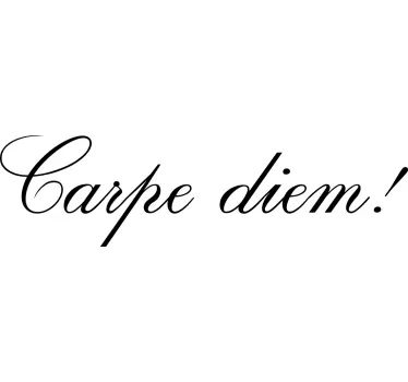 Wandtattoo Motivation Carpe diem zarter dünner schriftzug - TenStickers