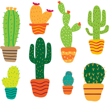 Wandtattoo Kakteen - TenStickers