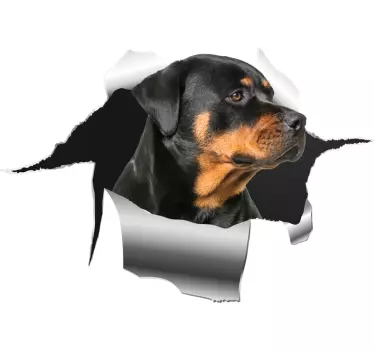 Haustier Aufkleber Rottweiller lochaufkleber - TenStickers