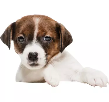 Autosticker neugieriger Hund - TenStickers