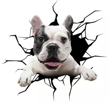 Wandaufkleber Französische Bulldog für Glas - TenStickers