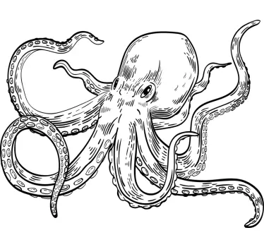 Oktopus Zeichnung Wandtattoo für Küche - TenStickers