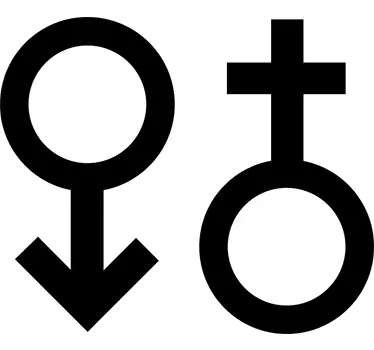 Wandtattoo Symbol männlich weiblich - TenStickers