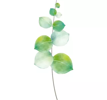 Eukalyptus Illustration Wandtattoo - TenStickers