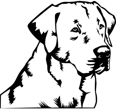Wandtattoo Labrador Retriever - TenStickers