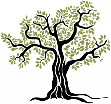 Wandtattoo Wohnzimmer Olivenbaum - TenStickers