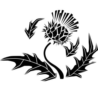 Wandtattoo Blumen Distel abstrakt einfarbig - TenStickers