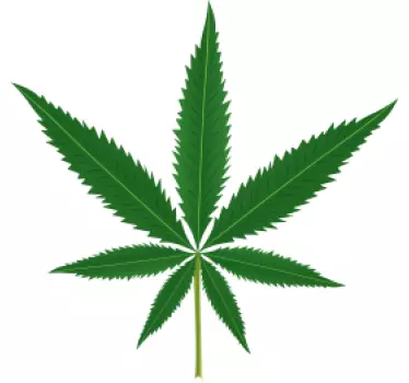 Wandtattoo Blumen Marihuana Blatt - TenStickers