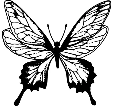 Wandtattoo schmetterling elegante umrisse - TenStickers