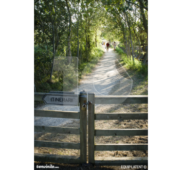 Wandtattoo Waldweg - TenStickers
