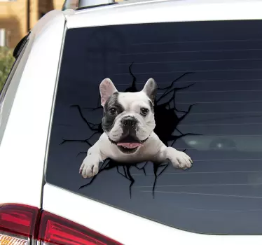 Wandaufkleber Französische Bulldog für Glas - TenStickers