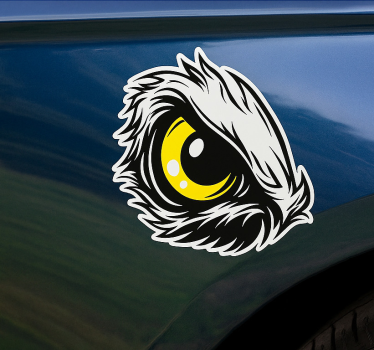Autoaufkleber adleraugen-design - TenStickers