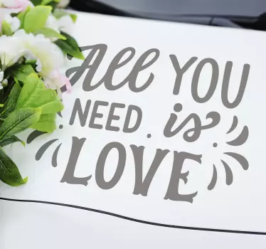Autoaufkleber Hochzeit "All you need is love" - TenStickers