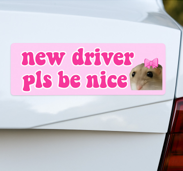 Autoaufkleber neufahrer freundlich sein - TenStickers