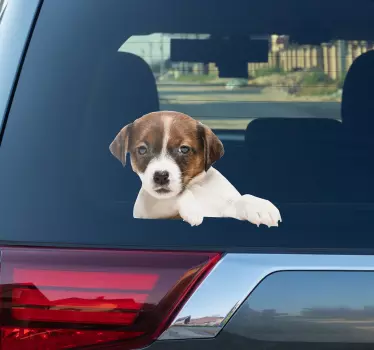 Autosticker neugieriger Hund - TenStickers